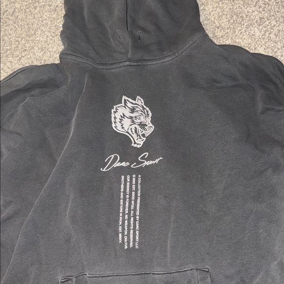 Darc Sport Charcoal Hoodie with Wolf Graphic
Iron Soul Bishop Hoodie - Picture 2 of 5